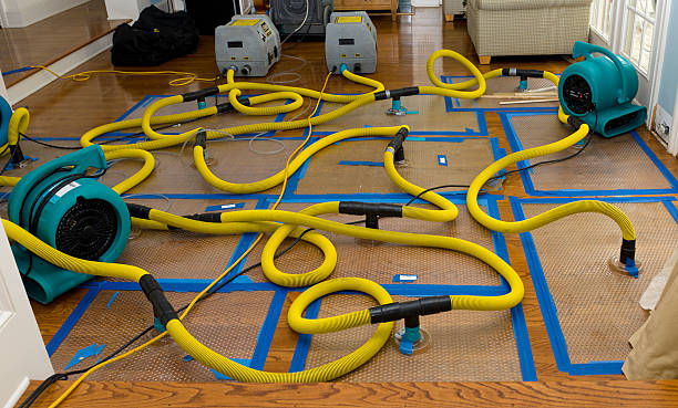 Professional Basement Flood Cleanup technician working in Arvada, CO